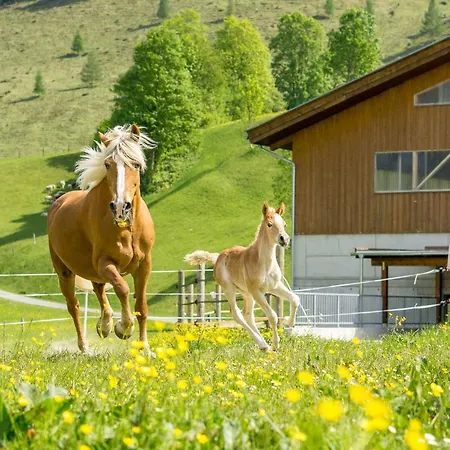 Schörhof 4* Saalfelden