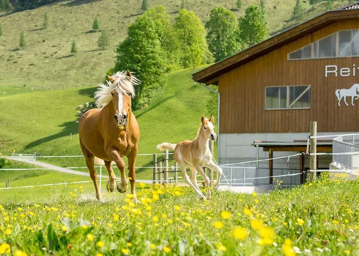Schoerhof 4* Saalfelden